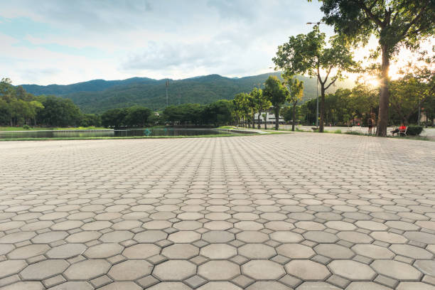 Best Driveway Repair Near Me  in Braselton, GA