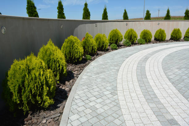 Best Residential Driveway Paver Services  in Braselton, GA
